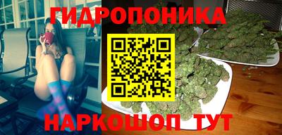 гидра Гусиноозёрск