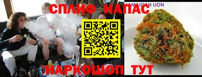 гидра Гусиноозёрск