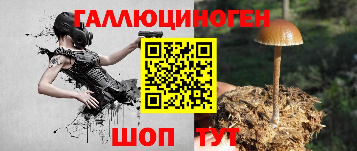 Галлюциногенные грибы Cubensis  Галлюциногенные грибы мухоморы  Вход с VPN  Нижнеудинск 