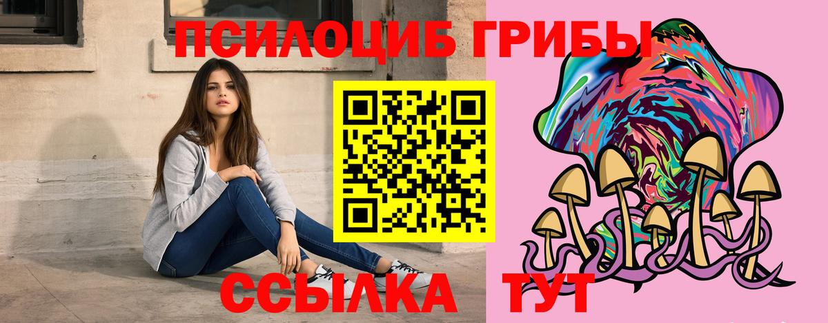 Псилоцибиновые грибы Psilocybe Нижнеудинск